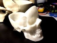 skull Ashtray by oriface