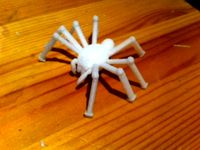 Spider model by LeandaM