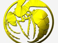 Insect Pendant by Alajaz