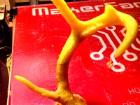Before The Eye Antlers with 8-hole bases by joshfulford