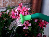 Watering Can Replacement by mikeprusa