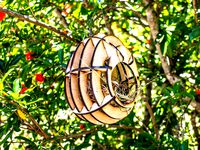 Lasercut Birdhouse by neobobkrause