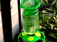 Hummingbird Feeder by mcscoder
