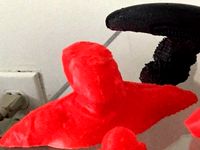 William Visel 3d scan and print by wvisel