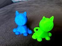 Cat with a picture face by earnason