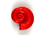 Shell pendant by Lockheart