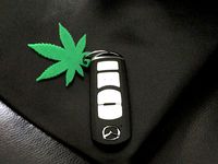 Cannabis Leaf Keychain by slavikk