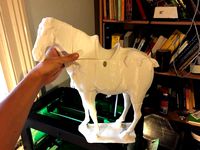Horse Broken into 4 parts by oriface