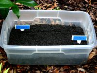 Plant Label by mrigsby