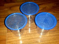 Disposable cup lid / bug cage by Cantareus