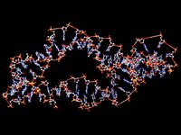 DNA by nagato
