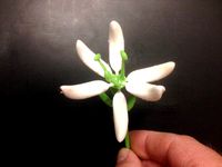 Stargazer Lily (Sort of) by Jeremy8077