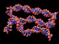 DNA by nagato