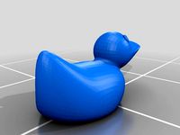 Duck by SamuelDorning