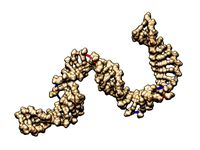 DNA by nagato