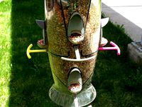 Bird Feeder Perch by bbennington