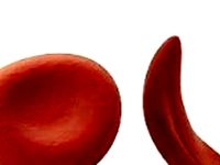 Sickle Cell proteins globin by pixeldonovan