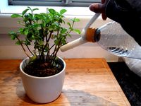 Watering can for your plastic bottle. by Ntrobot