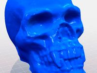 Skull UTV Shift Knob by coryajensen