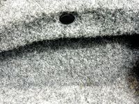 Trunk Clip by tom101222