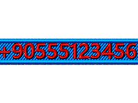 Name or phone number tag, necklace for your pet, cat, dog. Free standing lace. by nurpinar