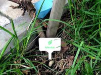 Labels for my garden by robertkru