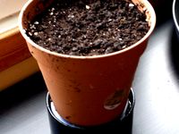 Self Watering plant pot holder by teneopreto