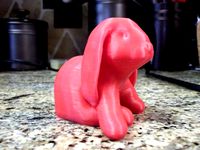 No Supports Needed Ducky The Lop Eared Bunny Remix by 3Dlirious