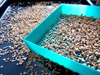 A parametric sieve with 3 example STL's by stth