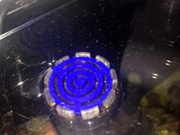 Dennerle Nano Cube Marinus Bio Circulator 4in1 Lid by stevie67