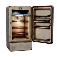 Abandoned Refrigerator