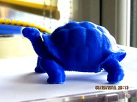 tortiose by ronbamber