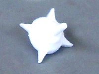 Coin Top with Spikes by Scibrary