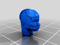 Facial Reconstruction of A Saxon Aged Male Using Open Source Technology by TraceIOM93