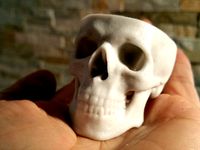 Cool Hollow Skull by 3ernharD