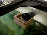 Aquarium Overflow by Squirrelly