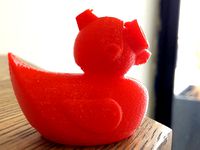 Cloud Duck by 3DprinterOS