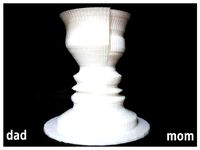 " 2 Face "  flower Vase - illusion by 3DP_PARK