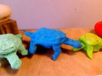 Turtle-shell morph fossil. by formfoam