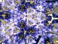 DigitalFeilds Smartphone Teleidoscope by TaneMoleta