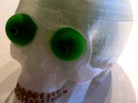 Skull with brain by drmax