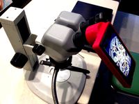 iPhone 6 microscope adaptor by rsilvers