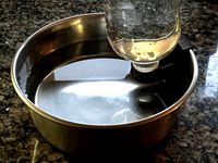 Water bowl feeder by jsc