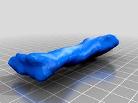 One bone by alexschreyer