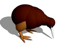 kiwi bird by Kcarter3d