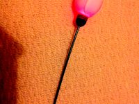 Colour changing valentines day rose by teamtech