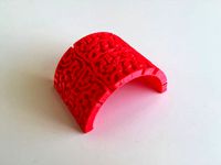 Brain Curve by David_Mussaffi