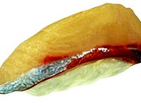 The Sushi of Hamachi by AmazingDesign