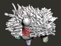 Spiky Strong Turtle by birdgirl709