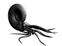 Ammonite head and tentacles by Jon_Hoyle